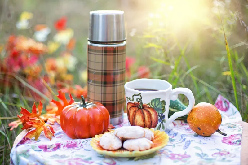 Rucksack-Ready: Why the Pasty Was Born for the British Picnic